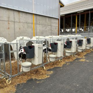 Tento týden navštěvujeme farmy se Samuelem Mallardem z technické podpory @milkbarcalves . Ve středu jsme měli prezentaci...